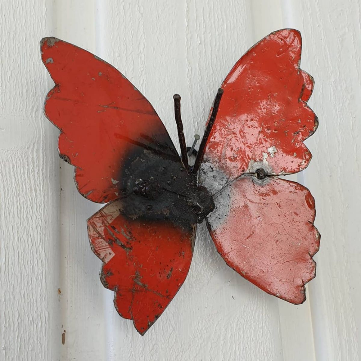 Sommerfugl til vegg rød